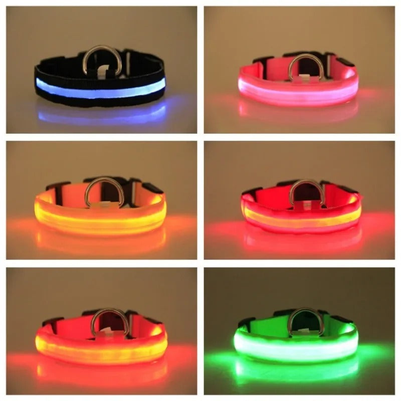 LED-Halsband