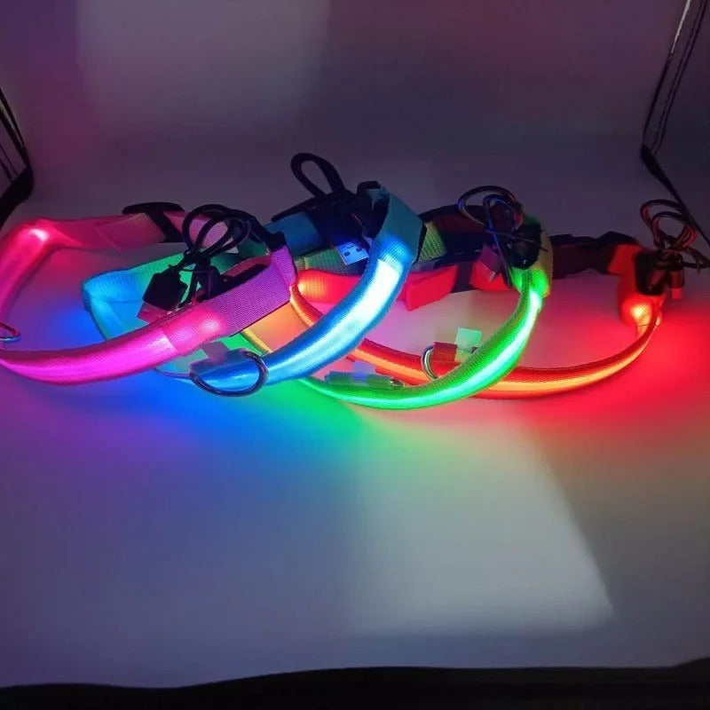 LED-Halsband