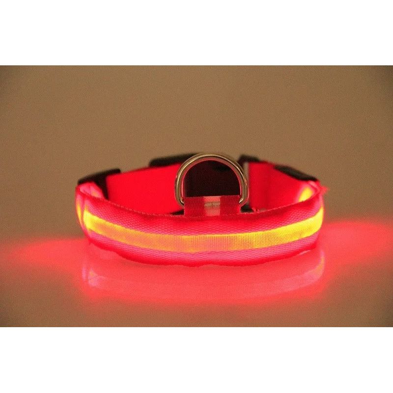 LED-Halsband